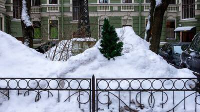Циклон «Себастиан» приведет к гололедице в Петербурге 31 декабря