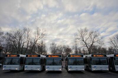 В Сертолово к Новому году появились 18 новых автобусов
