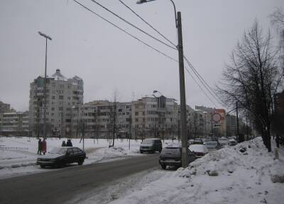Житель Санкт-Петербурга под Новый год задушил мать и пытался покончить с собой