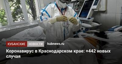 Коронавирус в Краснодарском крае: +442 новых случая
