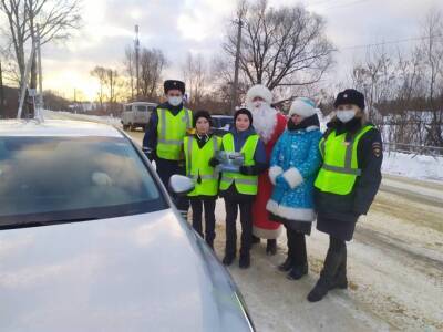 Полицейский Дед Мороз и юные инспекторы поздравили ульяновских водителей с наступающими праздниками