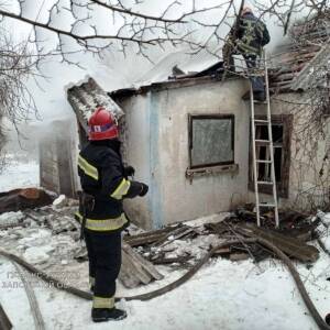В Запорожской области во время пожара погибли два человека. Фото
