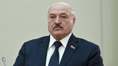 Лукашенко поручил создать в Белоруссии банк генетического материала для ЭКО