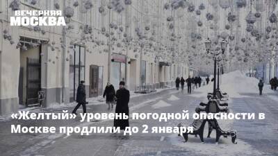 «Желтый» уровень погодной опасности в Москве продлили до 2 января