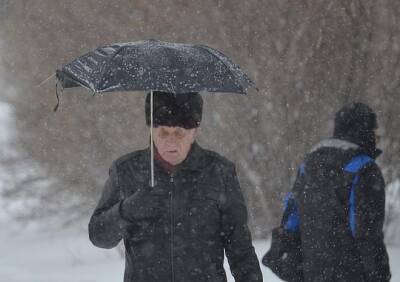 Жителей Рязанской области предупредили о «новогоднем» снегопаде