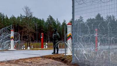 В Литве установили более 150 км заграждений на границе с Белоруссией