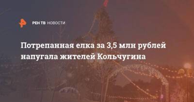 Потрепанная елка за 3,5 млн рублей напугала жителей Кольчугина