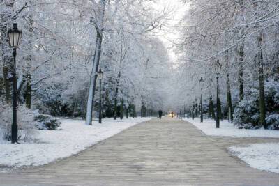 Парк на Елагином острове примет петербуржцев бесплатно 1 января