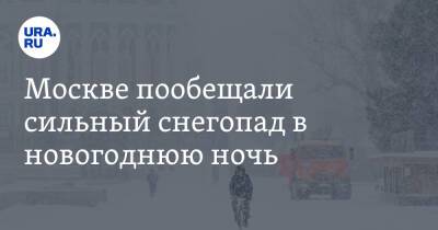 Москве пообещали сильный снегопад в новогоднюю ночь