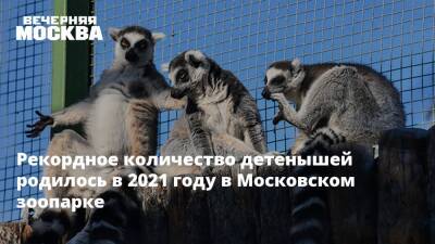 Рекордное количество детенышей родилось в 2021 году в Московском зоопарке