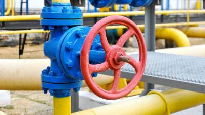 На Украине предупредили о риске коллапса экономики из-за цен на газ