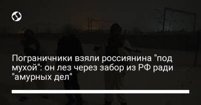 Пограничники взяли россиянина "под мухой": он лез через забор из РФ ради "амурных дел"