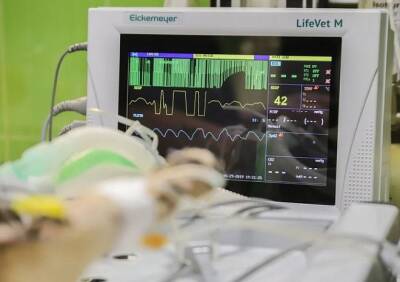 Волгоградские врачи 23 раза «заводили» сердце 31-летней пациентки