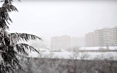 Новый год начнется с тепла и дождей: синоптик Наталка Диденко рассказала украинцам, какой будет погода 1 января
