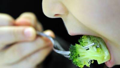 Опасна ли веганская и вегетарианская диета для детей и подростков?