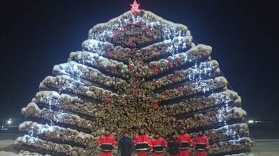 Новогоднюю елку из 3 тыс. бревен соорудили в Карелии