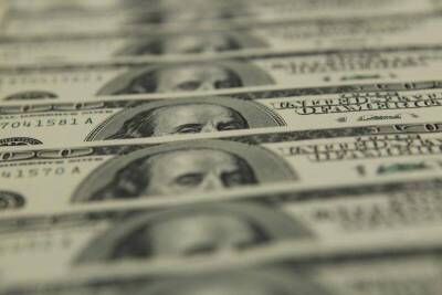 Средний курс доллара США со сроком расчетов "завтра" по итогам торгов составил 73,651 руб.