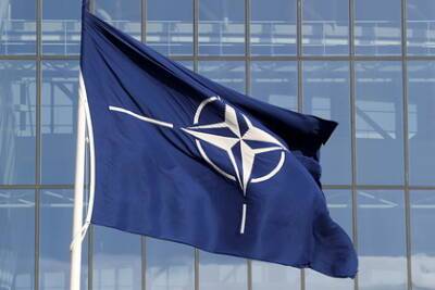Олег Стариков - На Украине признали неспособность защитить НАТО - lenta.ru - Россия - Украина