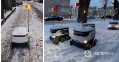 В Таллине роботы-курьеры застряли в снежных заносах – видео
