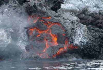Вулканические взрывы привели к уничтожению 85% видов на Земле 450 миллионов лет назад