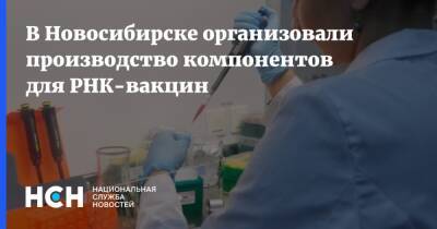 В Новосибирске организовали производство компонентов для РНК-вакцин