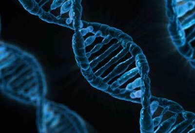 Ученые из Детройта открыли ген заикания