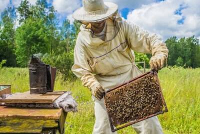 Кострома 9 декабря примет у себя форум пчеловодов