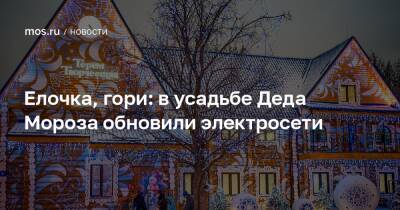 Елочка, гори: в усадьбе Деда Мороза обновили электросети