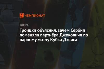 Троицки объяснил, зачем Сербия поменяла партнёра Джоковича по парному матчу Кубка Дэвиса