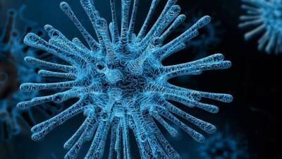 Врач Кутзи предупредила о «колючем» симптоме при заражении омикрон-штаммом коронавируса