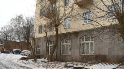 На Советской растущее близко к дому дерево не дает жильцам покоя - penzainform.ru