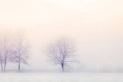 4 декабря в Рязанской области объявили метеопредупреждение из-за тумана