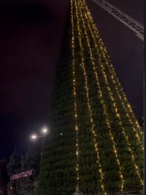 В Ростове установили и украсили главную новогоднюю ёлку