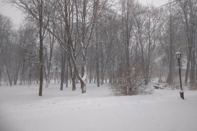 Снегопад обрушится на Новгородскую область в выходные