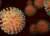 Ученые обнаружили: коронавирус «программирует» иммунную систему человека