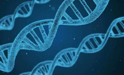 Американские биологи обнаружили гены заикания