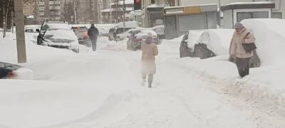За ночь в Петрозаводске снежный покров вырос на пятую часть от максимума за всю зиму
