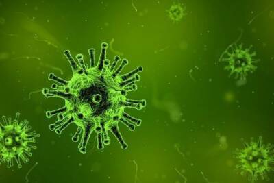 Еще четыре человека скончались от коронавируса в Псковской области