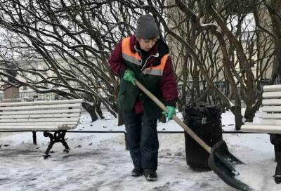 Лоскутное одеяло: почему в Петербурге не смогли быстро разобраться с последствиями снегопада