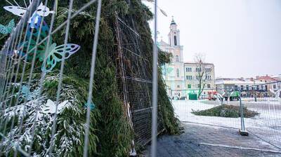 В Каунасе злоумышленник поджег рождественскую елку
