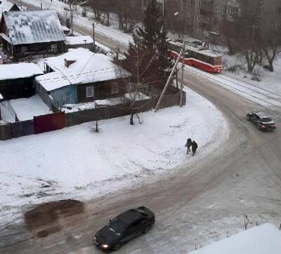 На дорогах Новосибирска продолжаются массовые мелкие ДТП