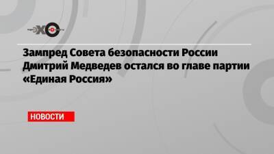 Зампред Совета безопасности России Дмитрий Медведев остался во главе партии «Единая Россия»