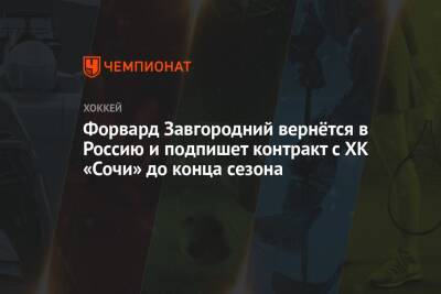 Форвард Завгородний вернётся в Россию и подпишет контракт с ХК «Сочи» до конца сезона