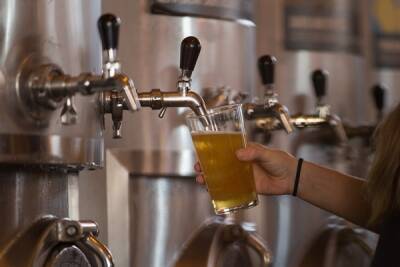 Пивовары предрекли рост объёмов контрафактного алкоголя после введения маркировки на пиво