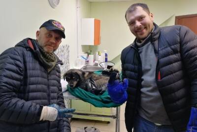 Тульские байкеры спасли тонущего в канаве пса