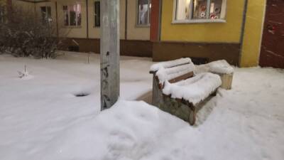 Коммунальные службы Петербурга не смогли обеспечить своевременную очистку улиц от снега