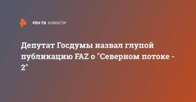 Депутат Госдумы назвал глупой публикацию FAZ о "Северном потоке - 2"