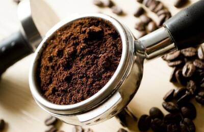 Почему не стоит выбрасывать кофейную гущу: секреты опытных огородников