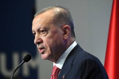 Эрдоган прокомментировал проведение многотысячного оппозиционного митинга