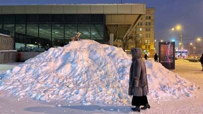 Московские гости пожаловались на сложность передвижения по засыпанному снегом Петербургу